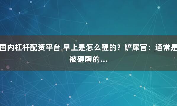 国内杠杆配资平台 早上是怎么醒的？铲屎官：通常是被砸醒的...