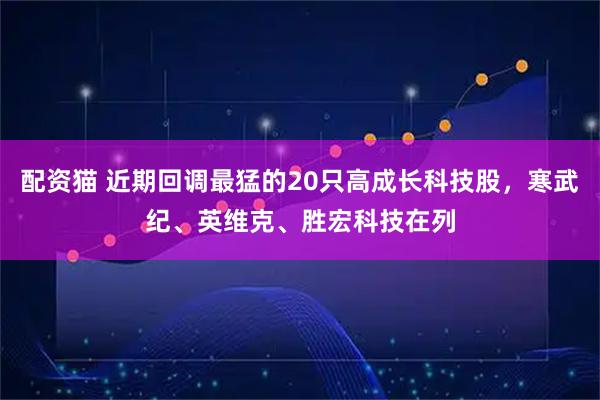 配资猫 近期回调最猛的20只高成长科技股，寒武纪、英维克、胜宏科技在列