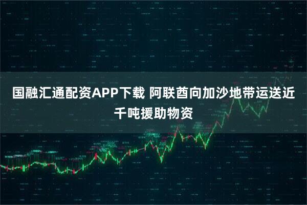 国融汇通配资APP下载 阿联酋向加沙地带运送近千吨援助物资